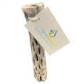 Liquid Gardens 6" Cholla Wood