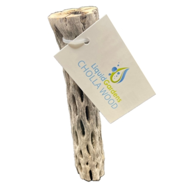 Liquid Gardens 6" Cholla Wood
