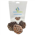 Liquid Gardens Lotus Pod 3 pk