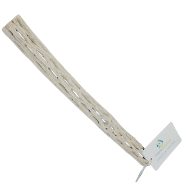 Liquid Gardens 12" Cholla Wood