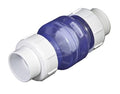 Clear True Union Swing Check Valve 1" SxS