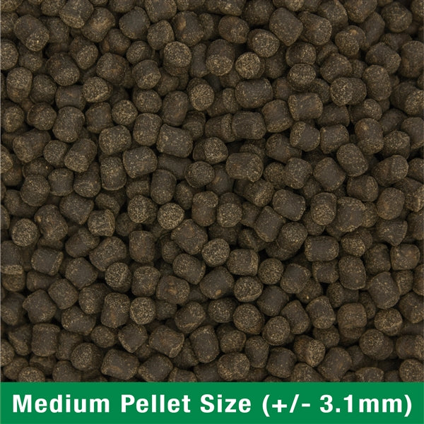 Ocean Nutrition Formula 2 Marine Pellets Medium 200g