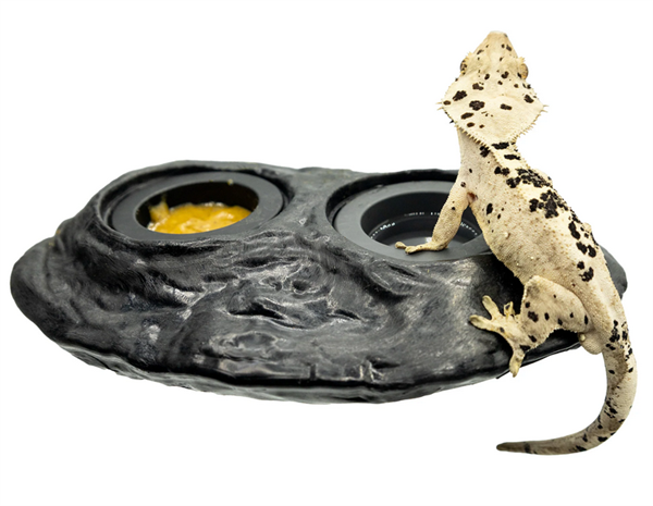 Pangea Ultimate Magnetic Feeding Ledge - 2 Cup