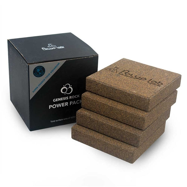 PolypLab Genesis Rock - 4 Pack