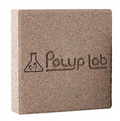 PolypLab Genesis Rock - 2 Pack
