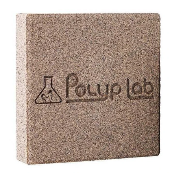 PolypLab Genesis Rock - 2 Pack