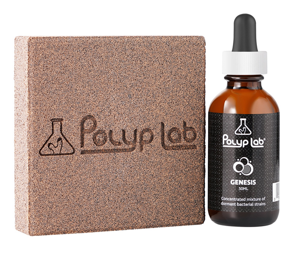 PolypLab Genesis Rock Booster - 2 Pack w/ Genesis Booster