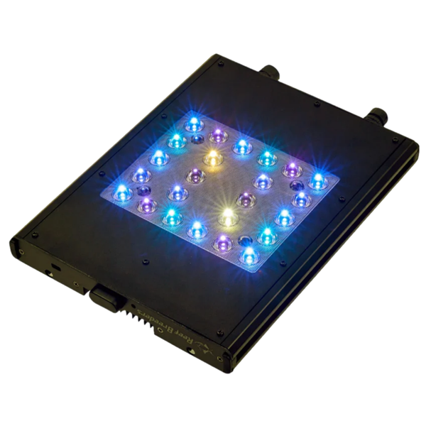 ReefBreeders Meridian 11 - Original