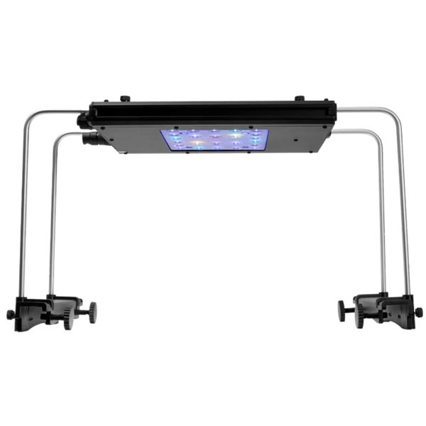 ReefBreeders Meridian 11 - Original