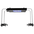 ReefBreeders Meridian 11 - Original