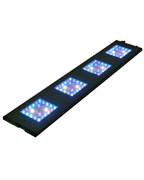 ReefBreeders Meridian 45 - Original
