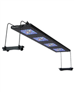 ReefBreeders Meridian 63 - Original