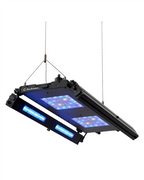 ReefBreeders Edge 35 - UV/Blue Hybrid - App/Manual Controller