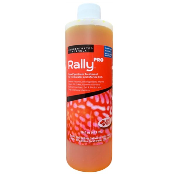 Ruby Reef Rally Pro 16oz