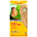 Sera Catappa Leaves XXL 32cm 10 pcs