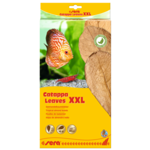 Sera Catappa Leaves XXL 32cm 10 pcs