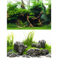 Seaview Greenspike / Amazonia 18" x 50' Double Sided Background
