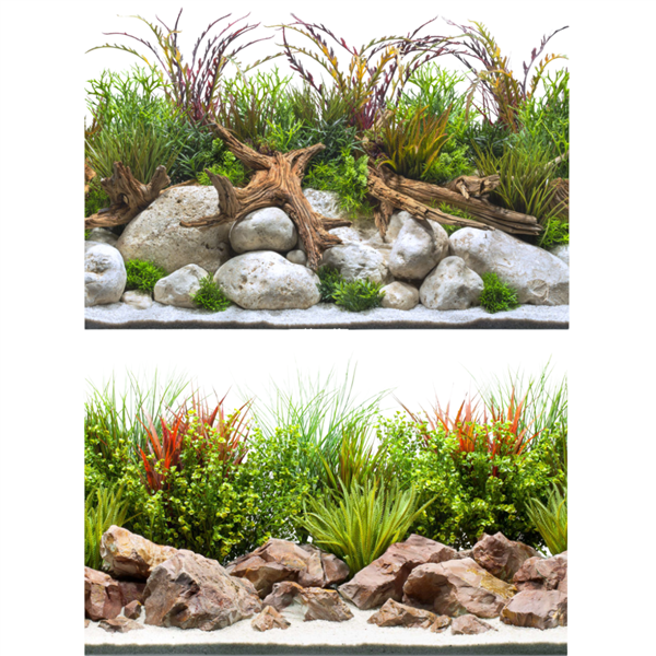 Seaview Coastal Hues/ Crisp River 24" x 50' Double Sided Background