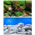 Seaview Aqua Garden/Brightstone 24" x 50' Double Sided Background