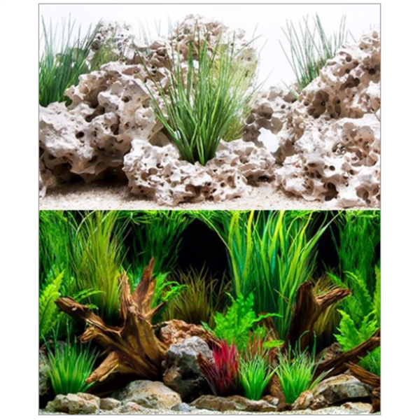 Seaview Cloudstone/ Wonderscape 18" x 50' Double Sided Background