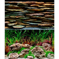 Seaview Slateways/Aqua Wild 24" x 50' Double Sided Background