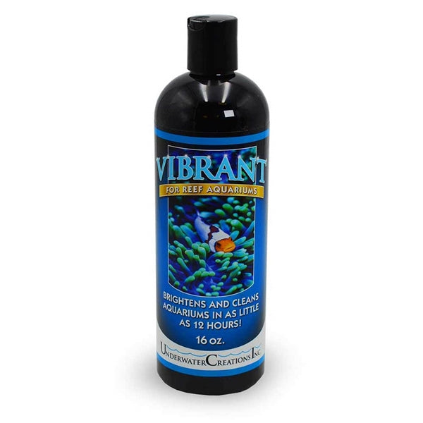 Vibrant Reef 16oz
