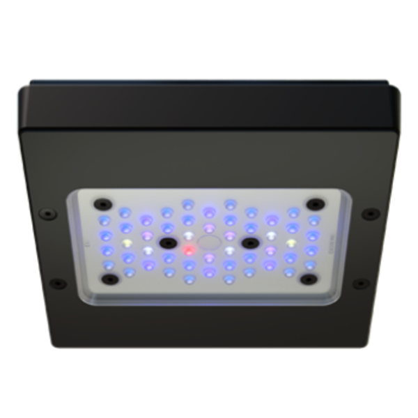 EcoTech Radion XR15 BLUE G6