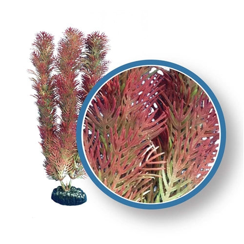 Weco Plant Red Cabomba 12"