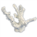 Weco Artificial/Rubber Coral - Octopus Coral White - Small