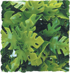 ZooMed Small Amazonian Phyllo 14"