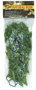 ZooMed Medium Mexican Phyllo