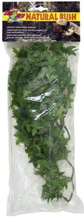 ZooMed Medium Congo Ivy