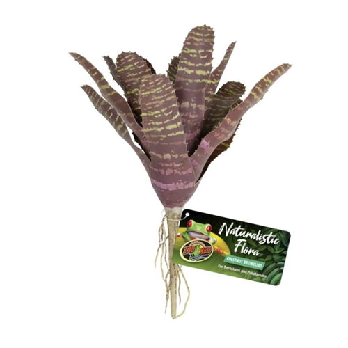 ZooMed Naturalistic Flora Chesnut Bromeliad