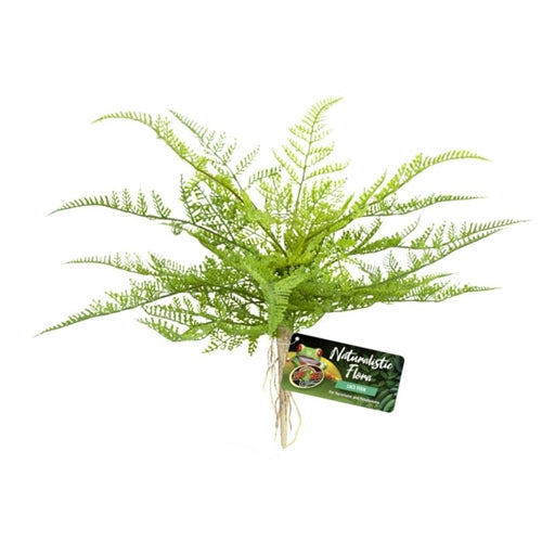 ZooMed Naturalistic Flora Lace Fern