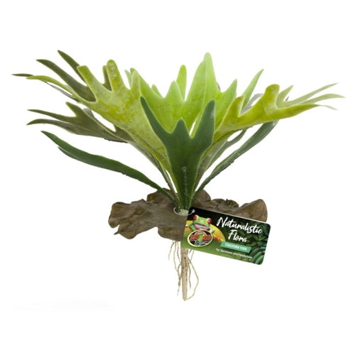 ZooMed Naturalistic Flora Staghorn Fern