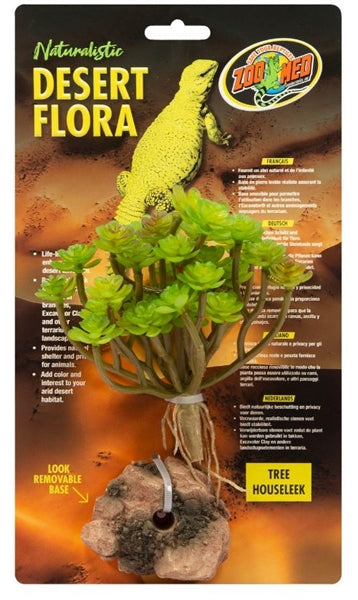 ZooMed Desert Flora - Tree Houseleek