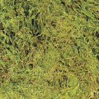 ZooMed Terrarium Moss 30-40 Gallon