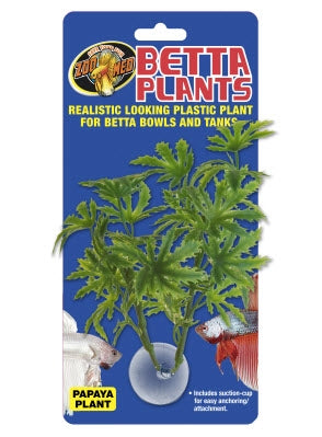 ZooMed Betta Plant - Papaya