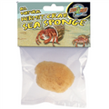 ZooMed Hermit Crab Sponge